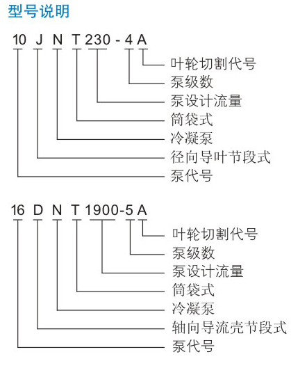 DNT型凝黄瓜视频操逼